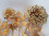 /environment/cache/images/300_300_productGfx_093147cba7f1379decf74a0adfdb318d.jpg