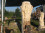 /environment/cache/images/300_300_productGfx_24ed309f10af3dbbc17bfcf553e171ea.jpg
