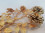 /environment/cache/images/300_300_productGfx_27c31d1f4fb5267661589ec14b8abda5.jpg