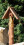 /environment/cache/images/300_300_productGfx_31e7f43d1b47d6e0373eefe71037aee4.jpg