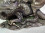 /environment/cache/images/300_300_productGfx_5d40083afc73ef1fcd72180bb9bbf153.jpg