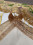 /environment/cache/images/300_300_productGfx_6c37c03441c1be4769d94ab0b4a042a2.jpg
