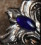 /environment/cache/images/300_300_productGfx_8d033b79e902c04b1629e584c1de4b5b.jpg