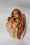 /environment/cache/images/300_300_productGfx_91b11afe91ee1344c1b837abdb8ed241.jpg