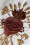/environment/cache/images/300_300_productGfx_aea916fcccefdb5586b47f6a0eef2e82.jpg