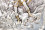 /environment/cache/images/300_300_productGfx_c3b7236ca2a12c7bf814ddb103547c64.jpg