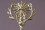 /environment/cache/images/300_300_productGfx_c8206647ccaa6165ae56d1ab19b441fc.jpg