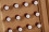/environment/cache/images/300_300_productGfx_f6535334e468ed1beee58edf7bb52c21.jpg